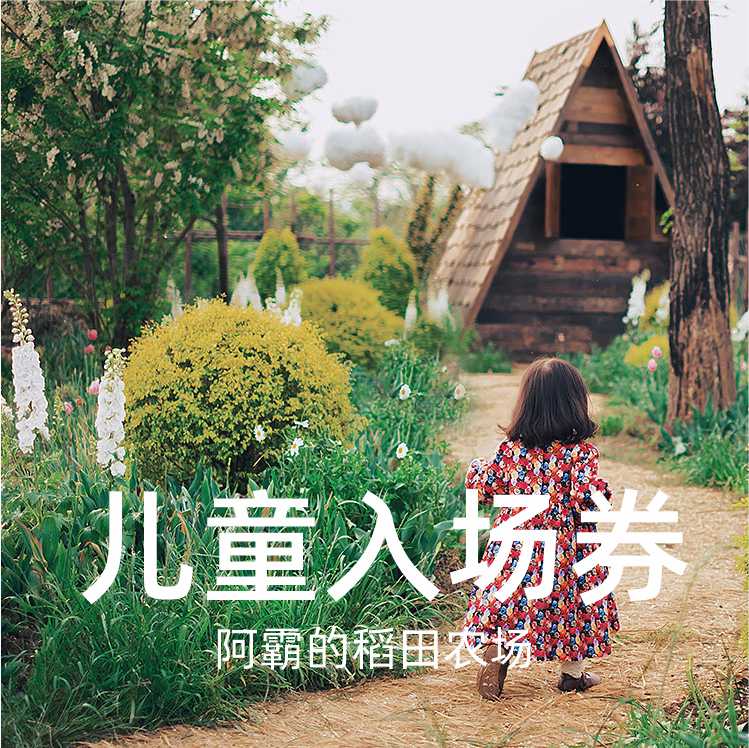 周内入场券