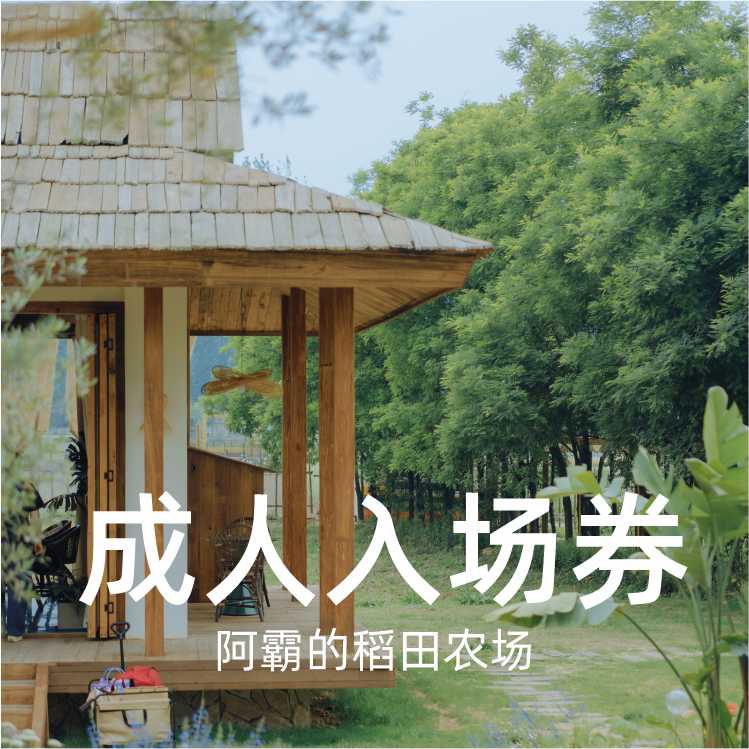 儿童入场券